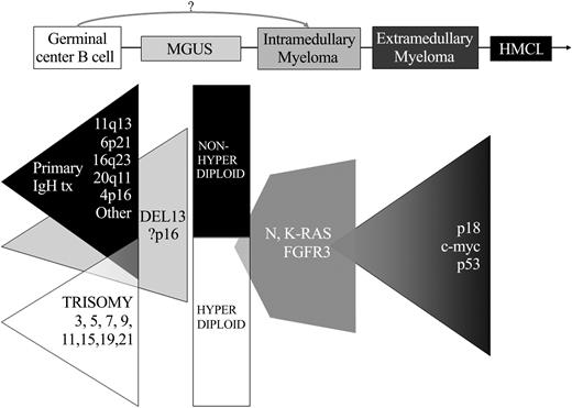 Figure 2. Two pathways for progression to plasma cell neoplasia. Defined stages of pathogenesis are depicted, with shaded triangles indicating the possible timing and frequency of known oncogenic events. The earliest changes include 2 partially overlapping pathways, indicated by primary IgH translocations (tx) and multiple trisomies. Deletion 13 (most often in nonhyperdiploid tumors) and p16 methylation might be included among the earliest changes, but might sometimes be involved in progression. Activating mutations of N- and K-RAS appear to mark, if not cause, the MGUS to MM transition in some tumors, but can also occur as later progression events. Late oncogenic changes include inactivation of p18 and p53, and also translocations that dysregulate c-myc. Inactivation of Rb, PTEN, and secondary translocations not involving c-myc are not depicted.