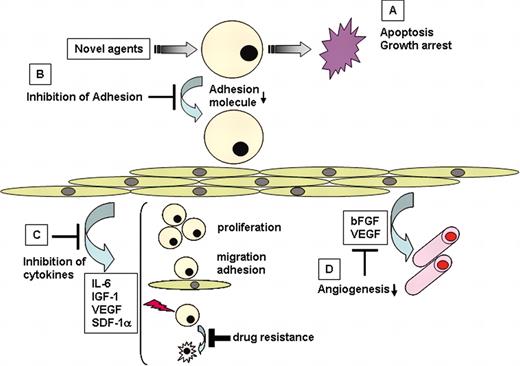 Figure 6. Novel biologically based therapies targeting MM cells and the BM microenvironment. Novel agents (A) induce G1 growth arrest and/or apoptosis in MM cell lines and patient cells resistant to conventional chemotherapy; (B) inhibit MM cell adhesion to BMSCs; (C) decrease cytokine production and sequelae in the BM microenvironment; and (D) decrease angiogenesis.