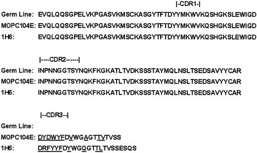 Figure 1. VH region sequences. The amino acid sequence of the germ line BALB/c mouse heavy chain VH region used in the antidextran response is depicted together with the sequences of the VH region (including the D and J regions) expressed by MOPC104E and the 1H6 cell line.
