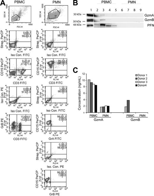 Figure 1. Enriched human PMNs do not express granzymes A, B, or perforin. (A) Scatter and density plots for lineage-specific surface markers (CD3, CD15) and intracellular granzymes (GzmA and GzmB). Purified fractions were stained as indicated and a total of 10 000 events were acquired in the indicated gates. Data are representative of 1 of 2 donors. The numbers in the upper right corner of each panel indicate the percentage of events in the respective quadrants. (B) Purified PBMC (lanes 2-5) and PMN (lanes 6-9) lysates from 4 donors were blotted as indicated. Isolated GzmA, GzmB, or PFN (100 ng) served as positive control (lane 1). (C) PBMC and PMN lysates from 4 donors were assayed for GzmA and GzmB by EIA. Values represent concentration of granzyme (ng/mL) in lysate.
