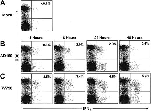 Figure 1. Autologous fibroblasts infected with AD169 or RV798 can be used as stimulator cells to quantitate CMV-specific CD8+ T cells by cytokine flow cytometry. Fibroblasts were infected with AD169 or RV798 for 4, 16, 24, and 48 hours and then used to stimulate autologous PBMCs or whole blood in a CFC assay. CD8+ T cells that produced IFNγ were identified within the lymphocyte gate (based on forward/side scatter) by 2-color staining with anti-CD8 and anti–IFNγ monoclonal antibodies. The data shown are the results for donor 1 and are representative of the results obtained in 5 donors. (A) Frequency of CD8+ T cells induced to produce IFNγ after stimulation with mock-infected fibroblasts. (B) Frequency of CD8+ T cells induced to produce IFNγ after stimulation with fibroblasts infected with AD169 for various times. (C) Frequency of CD8+ T cells induced to produce IFNγ after stimulation with fibroblasts infected with RV798 for various times.