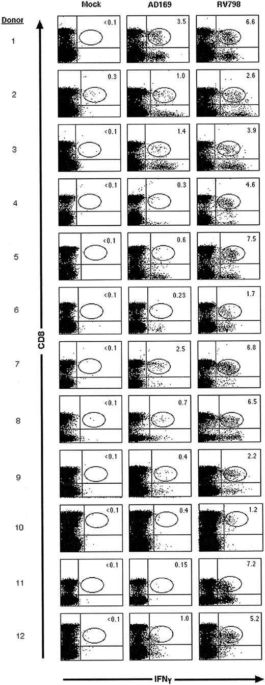 Figure 2. A higher frequency of CD8+ CMV-specific T cells is detected by CFC using RV798-infected fibroblasts as stimulator cells than with AD169-infected fibroblasts. The frequency of CD8+ T cells that produced IFNγ was determined in 12 donors by CFC after stimulation of PBMC with mock-, AD169-, or RV798-infected fibroblasts. Data shown are representative of at least 2 experiments per donor.