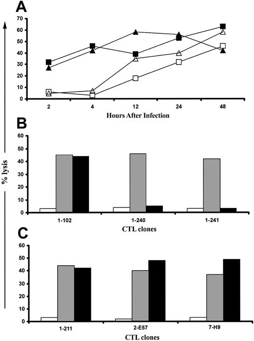 Figure 4. Novel CMV antigens presented to CD8+ CTLs by RV798-infected fibroblasts are predominantly encoded by IE and E genes. (A) Fifty-eight CTL clones that were specific for undefined CMV antigens were tested for their ability to lyse autologous fibroblasts infected for various durations with RV798. Data are shown for 2 CTL clones, clone 1-240 (▪) and clone 1-241 (▴), that exhibited a lytic pattern representative of 47 of the 58 clones and for one CTL clone, clone 2-B23 (▵), that exhibited a lytic pattern representative of the remaining 11 clones. A CTL clone specific for IE-1, clone 1-189 (□), is included as a control. (B) Presentation of novel CMV antigens by RV798-infected fibroblasts requires de novo gene expression. Forty-seven CTL clones that recognized targets as early as 2 hours after infection with RV798 were tested for their ability to lyse autologous fibroblasts either mock-infected (□), infected with RV798 for 4 hours (▦), or infected with RV798 for 4 hours in the presence of actinomycin D (▪). Representative data are shown for 3 CTL clones (clone 1-102 is pp65-specific; clone 1-240 and 1-241 are specific for unknown CMV antigens). (C) Eleven CTL clones that only recognized targets infected for longer than 8 hours were tested for their ability to lyse autologous fibroblasts either mock-infected (□) or infected with RV798 for 48 hours (▦), or infected with RV798 for 48 hours in the presence of ganciclovir (▪) at 10 μM to abrogate L gene expression. Representative data for 3 of 11 CTL clones from 3 different donors is shown at an E/T of 10:1.