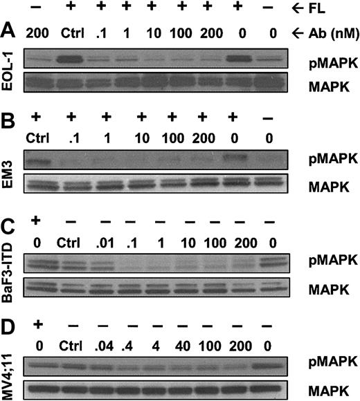 Figure 4. IMC-EB10 inhibits phosphorylation of downstream MAP kinase induced by wild-type FLT3 or FLT3-ITD. (A) EOL-1 and (B) EM3 cells were incubated with varying amounts of antibody with or without exogenous FL (30 ng/mL). MAPK was phosphorylated after FL stimulation (lanes 1 and 2 from right). Control antibody treatment did not affect MAPK phosphorylation (lane 8 from right). In contrast, treatment with IMC-EB10 (1-200 nM) completely inhibited FL-induced MAPK phosphorylation. (C) BaF3-ITD and (D) MV4;11 cells were incubated in varying concentrations of antibody without exogenous FL. Lane 1 (from right) indicates that MAPK was constitutively phosphorylated. Treatment with control antibody did not affect ligand-independent constitutive MAPK phosphorylation (lane 8 from right). In contrast, constitutive MAPK phosphorylation was inhibited by IMCEB10. Total MAPK protein was unaffected by antibody treatment.
