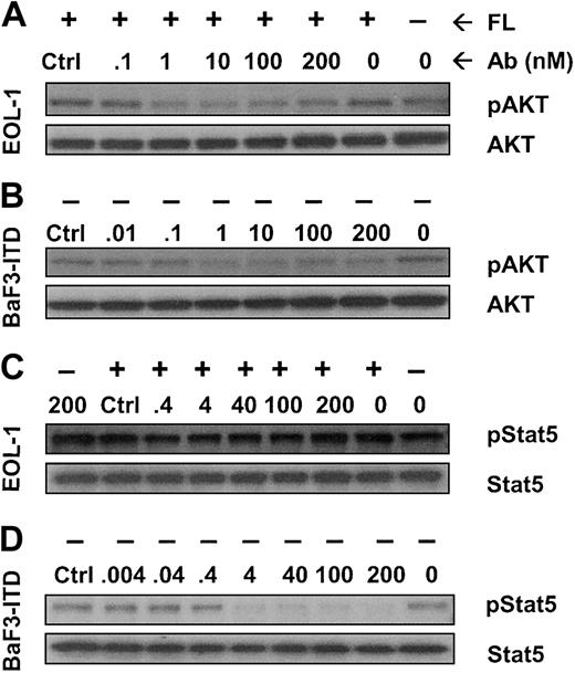Figure 5. Effect of IMC-EB10 on the phosphorylation of AKT and Stat5. Cells were incubated with varying amounts of antibody with or without exogenous FL (30 ng/mL). (A) In EOL-1 cells, AKT phosphorylation was up-regulated after FL stimulation (lanes 1 and 2 from right). Control antibody treatment did not affect AKT phosphorylation (lane 8 from right). In contrast, IMC-EB10 treatment (1-200 nM) completely inhibited FL-induced AKT phosphorylation. (B) In BaF3-ITD cells, constitutive phosphorylation of AKT was strongly inhibited with IMC-EB10 treatment (1-200 nM). (C) In EOL-1 cells, Stat5 was phosphorylated in the absence of FL stimulation (lane 1 from right), and FL stimulation did not significantly increase the level of phosphorylation of Stat5. Incubation with IMC-EB10 did not have any significant effect on Stat5 phosphorylation in this cell line. (D) In BaF3-ITD cells, constitutive phosphorylation of Stat5 was strongly inhibited with IMC-EB10 treatment (4-200 nM). In both cell lines, total AKT or Stat5 proteins were unaffected by antibody treatment.