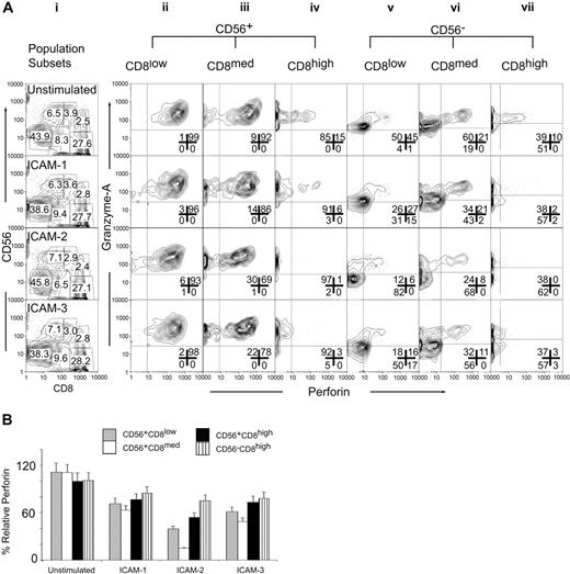 Figure 4. ICAM-2 exhibits differences from ICAM-1 and ICAM-3 in mediating perforin and granzyme release from CD56+CD8+ CTL subsets. (A) IL-2–activated PBMCs (200 ng/mL, 12 hours) were mock-treated (IgG) or treated with ICAM-1, ICAM-2, or ICAM-3 (10 μg/mL Fc fusion protein) 30 minutes prior to incubation with target HL60 cells at a 1:50 E/T ratio for 4 hours. Cells were then prepared for flow cytometry with CD8-Cy5PE, CD56-PE surface stains, and perforin-Cy5 and granzyme A–FITC intracellular stains. Cells were gated for CD56+CD8low, CD56+CD8med, CD56+CD8high, CD56–CD8–, CD56–CD8high populations as shown in panel i and population frequencies within appropriate gate. Panels ii-vii are subset-gated populations displayed for perforin and granzyme A log fluorescent intensities. Results are representative of 3 independent experiments and were similar at 1:25 and 1:12.5 E/T ratios (data not shown). Numbers in each panel correspond to population frequencies. (B) Relative perforin changes in CD56CD8 subsets after target cell mixing. Median fluorescence values were computed for CD56CD8 subsets and made relative to median fluorescence values. Error bars show standard deviations of 3 experiments.