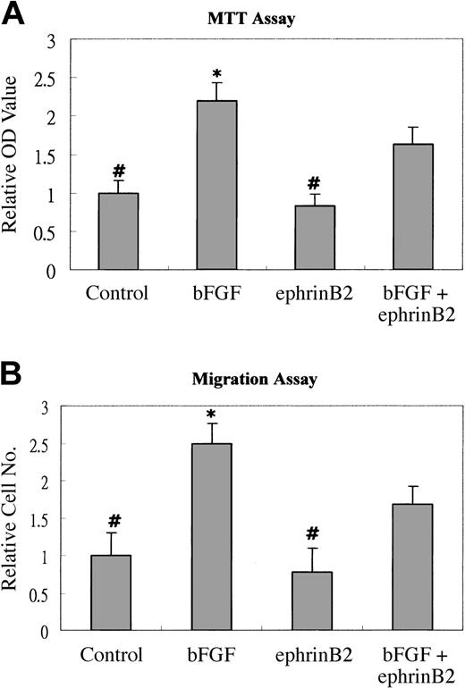 Figure 4. EphrinB2 inhibits bFGF-induced proliferation and migration of HUAECs. (A) Subconfluent HUAECs at a density of 5 × 103 cells per well per 500 μL were plated into 24-well culture plates in the M199 medium containing 5% fetal calf serum (FCS) and 1 of 4 different regimens: clustering Ab alone (Control), 10 ng/mL bFGF, 200 ng/mL preclustered ephrinB2, or a combination of ephrinB2 and bFGF. The cultures were incubated for 3 days and then assessed by MTT assays. The samples of each tested group were in sextuplicate, and the experiment was performed in triplicate. Each data set was normalized with the average value of the negative control group. Bars represent the mean ± SD from 6 data of 1 representative experiment. (B) Quantification of migrated HUAECs. HUAECs were incubated with the indicated reagents for 6 hours in a modified Boyden chamber. After incubation, migrated cells were fixed and then stained with Giemsa solution. The migrated cells were counted at × 100 magnification. Three fields were counted in each well, and the average number was obtained. Each group was tested in sextuplicate, and tests were performed in triplicate. Each data set was normalized with the average value of the negative control group. Bars represent the mean ± SD from 6 results of 1 representative experiment. *P < .05 significantly greater than bFGF plus ephrinB2 group. #P < .05 significantly smaller than bFGF plus ephrinB2 group.