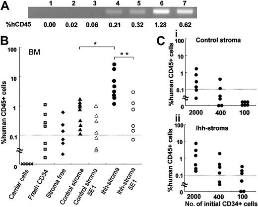 Figure 5. Analysis of human genome and the percentage of hCD45 in NOD/SCID–ß2m–/– mice. Analysis of human genome and the percentage of hCD45 in NOD/SCID–ß2m–/– mice. (A) PCR amplification of human ALU sequences was performed to confirm the sequence found in the human genome. Mice (n = 3) with transplants of accessory cells only (lanes 1-3); mice (n = 5) with transplants of fresh CD34+ cells (lanes 4-7). The percentage of hCD45 indicates the percentage of the human CD45+ hematopoietic cells in the BM of mice with transplants. (B) Analyses of hCD45+ cells in the BM of NOD/SCID–ß2m–/– mice with transplants. Irradiated carrier cells, fresh CD34+ cells, or CD34+ cells that had been expanded on control stromal cells or Ihh stromal cells, were transplanted into NOD/SCID–ß2m–/– mice. Mice were killed 8 weeks after transplantation, and the BM cells were analyzed by flow cytometry. Data are shown for carrier cells; fresh CD34+ cells; CD34+ cells that had been expanded ex vivo in the absence of stromal cells for 2 weeks; CD34+ cells that had been expanded on control stromal cells for 2 weeks; CD34+ cells that had been expanded on control stromal cells for 2 weeks in the presence of anti-Ihh blocking Ab; CD34+ cells that had been expanded on Ihh stromal cells for 2 weeks; and CD34+ cells that had been expanded on Ihh stromal cells for 2 weeks in the presence of anti-Ihh blocking Ab. A dotted line indicates the cut-off level (0.1%) for successful engraftment of human hematopoietic cells. *P < .05 versus control stromal cells. **P < .05 versus Ihh stromal cells (Mann-Whitney U test). Data represent a summary of 2 separate experiments. (C) Engraftment of a graded dose of CD34+ cells at the start of culture and their progeny after 2 weeks. Percentage of engraftment of human CD45+ cells that had been expanded with control stromal cells (i), or Ihh stromal cells (ii) is shown. Dotted lines indicate cutoff level (0.1%).