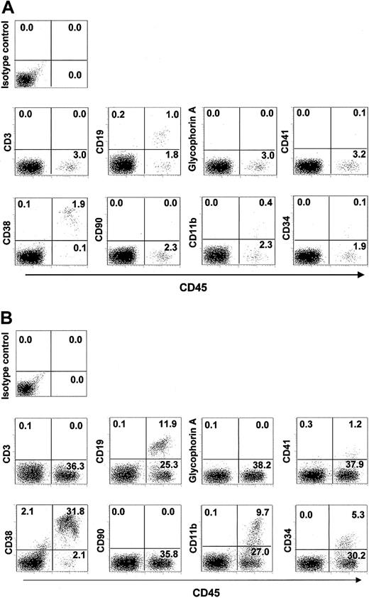 Figure 6. Flow cytometric analysis of lineage markers on human hematopoietic cells engrafted in NOD/SCID– ß2m–/– mice. CD34+ cells were expanded for 2 weeks on control stromal cells (panel A), or on Ihh stromal cells (panel B), and then transplanted into NOD/SCID–ß2m–/– mice. Hematopoietic cells were immunolabeled with a FITC-conjugated hCD45 antibody to ensure human origin, and with a PE-conjugated antibody specific for the indicated lineage marker. Data shown are from 1 representative experiment of 4 showing similar results. Numbers in each quadrant indicate percentages of hematopoietic cells.