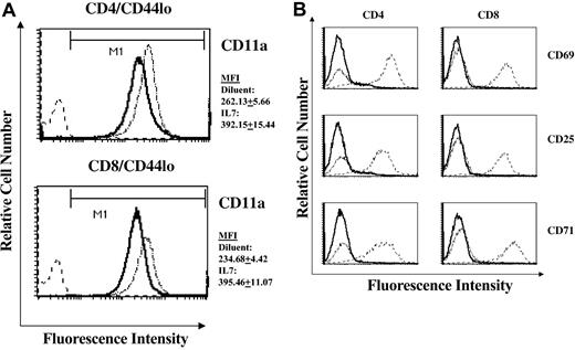 Figure 5. Short-term IL-7 administration alters the expression of CD11a (LFA-1) in naive cells in the absence of T-cell activation. Histogram plots of CD11a expression in lymph node-derived naive CD44lo CD4+ and CD8+ cells in diluent control and rmIL-7-treated (5 μg per day for 7 days) thymus-intact mice are shown (A). Mean fluorescent intensity (MFI) of CD11a was consistently higher in cells from rmIL-7-treated mice. Numerical values represent the MFI plus or minus SD of 7 mice per group. Similar increases in CD11a MFI were observed in spleen- and PBL-derived naive T cells (data not shown). In contrast, administration of rmIL-7 did not induce expression of the T-cell activation markers CD69, CD25, or CD71 (B). Solid lines represent histograms of diluent-treated control mice, dotted lines represent histograms of rmIL-7-treated mice, and dashed lines represent histograms of normal splenocytes that were stimulated in vitro with anti-CD3 (2C11) antibody serving as a positive control for CD69, CD25, and CD71 expression. Shown are representative data from 7 mice. Similar patterns of CD11a and T-cell activation marker expression were observed in rmIL-7-treated thymectomized mice and in thymus-intact and thymectomized mice treated with rmIL-7 for 14 days (data not shown).