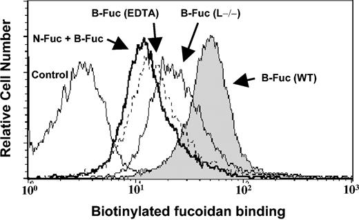 Figure 1. Fucoidan specifically binds bone marrow myeloid cells via L-selectin and other receptors. BMNCs from wild-type mice were incubated with biotinylated fucoidan (B-Fuc, filled histogram), native fucoidan (N-Fuc, bold line histogram), followed by B-Fuc, or B-Fuc in the presence of EDTA (dashed-line histogram). Also shown is the staining with B-Fuc of BMNCs from L–/– mice (thin-line histogram).