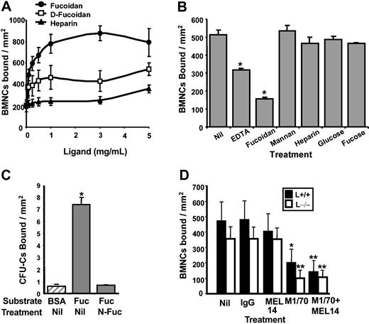 Figure 2. BMNCs bind to immobilized fucoidan through L-selectin and αMβ2. (A) Dose-response binding. CFSE-labeled BMNCs were allowed to bind to hydrazide-coated wells that had been precoated with various concentrations of fucoidan (•), desulfated-fucoidan (D-Fuc; □), or heparin (▴). The wells were then washed and cells were lysed. Fluorescence was measured and the number of bound BMNCs was calculated. (B) Binding specificity of fucoidan. CFSE-labeled BMNCs were allowed to bind to plates coated with fucoidan in the presence of EDTA or sugars (fucoidan, mannan, heparin, glucose, or fucose); *P ≤ .009 compared with the control (Nil) group. (C) Progenitor binding to fucoidan. BMNCs preincubated with fucoidan (N-Fuc) or media (Nil) were allowed to bind BSA (▨) or immobilized fucoidan. Bound CFU-Cs were scored in methylcellulose cultures. *P < .05 compared with BSA and N-Fuc. Binding in the untreated group (Nil) corresponds to 29% ± 2% of the input CFU-Cs. (D) BMNCs binding to immobilized fucoidan are mediated by L-selectin and the αMβ2 integrin. CFSE-labeled BMNCs were allowed to bind to fucoidan-coated plates in the presence of antirat IgG control, anti–L-selectin antibody (MEL14), anti-αM antibody (M1/70), or in the presence of both function-blocking antibodies. In all panels, error bars represent mean ± SEM bound cells/mm2. *P < .05; **P ≤ .01 compared with vehicle (Nil) or control IgG groups.