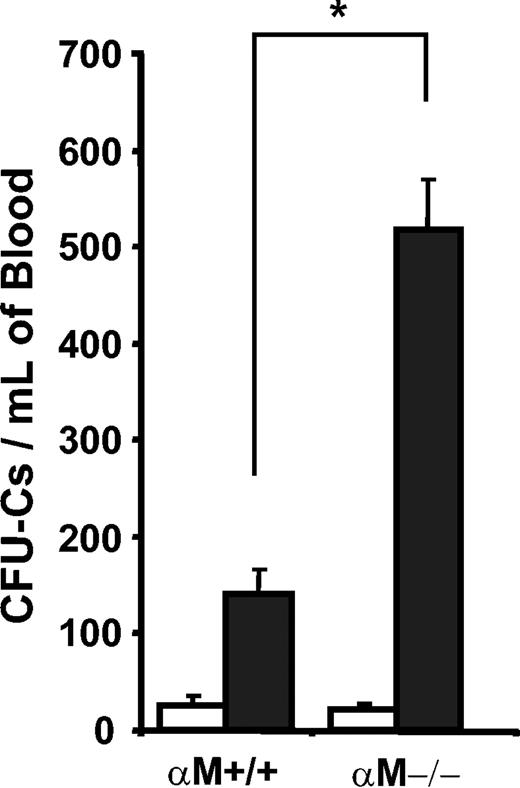 Figure 4. Enhanced mobilization in αM–/– mice by fucoidan. αM+/+ and αM–/– mice were treated with 2 doses of fucoidan (50 mg/kg each; ▪) or PBS (□). Nucleated cells isolated from peripheral blood 6 hours after treatment were assayed for CFU-C content. Error bars represent mean ± SEM values. *P < .005; n = 5-24.