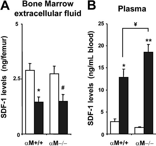 Figure 5. Increased levels of CXCL12 in the plasma of αM–/– mice after fucoidan mobilization. αM+/+ and αM–/– mice were treated with 2 doses of PBS (□) or fucoidan (50 mg/kg; ▪). BM extracellular fluid (A) and plasma (B) were harvested for analysis of CXCL12 content by ELISA. Shown is the mean ± SEM concentration of CXCL12 from 3 independent experiments. *P < .01; **P < .0001; #P = .02 compared with PBS; ¥P = .04. n = 6-12 mice.