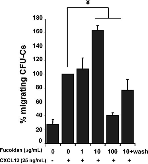 Figure 6. Fucoidan alters CFU-C migration toward CXCL12. BMNCs were preincubated with different concentrations of fucoidan before performing chemotactic assays to 25 ng/mL CXCL12. Migrated and input cells were assayed for CFU-Cs in methylcellulose cultures. In some samples, cells were washed before the migration assay to remove unbound fucoidan (10+wash). Shown is the mean ± SEM of migrated CFU-Cs. n = 3-5 independent experiments; ¥ P < .005. One hundred percent migration reflects 7.3% ± 1.8% of input CFU-Cs.