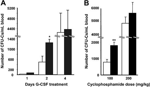 Figure 8. Increased HPC mobilization in αM–/– mice treated with CY and G-CSF. (A) G-CSF mobilization. αM+/+ (□) and α–/– (▪) mice were treated with G-CSF (250 μg/kg/d) over a period of 1 (n = 8), 2 (n = 8-10), or 4 (n = 5) days. Three hours after the final injection, nucleated cells were isolated from blood and plated to assay CFU-Cs. *P = .02 compared with αM+/+. (B) CY mobilization. αM+/+ (□) and αM–/– (▪) mice were given a single intraperitoneal dose of CY (100 or 200 mg/kg). Nucleated cells from peripheral blood were harvested after 8 days and assayed for CFU-C content. Shown are mean ±SEM numbers of CFU-Cs per milliliter of blood. **P = .01 compared with αM+/+ mice.