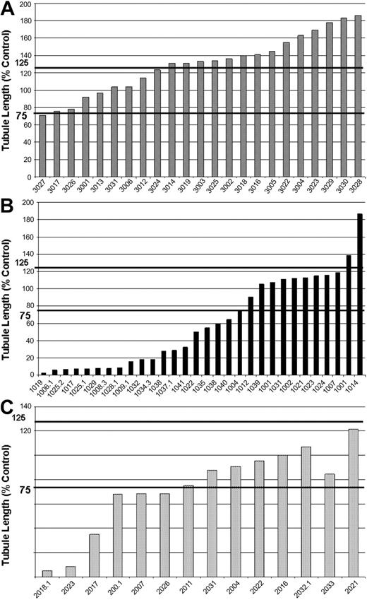 Figure 6. Results of human in vitro angiogenesis assay by disease stage. Bar charts show the degree of tubule formation (total tubule length) with the human in vitro angiogenesis assay expressed as a percentage of NT control. Results demonstrate stimulation of angiogenesis by the bone marrow plasma of patients with newly diagnosed myeloma (A), MGUS (B), and SMM (C) with marked inhibition of angiogenesis by the bone marrow plasma of most patients with MGUS.