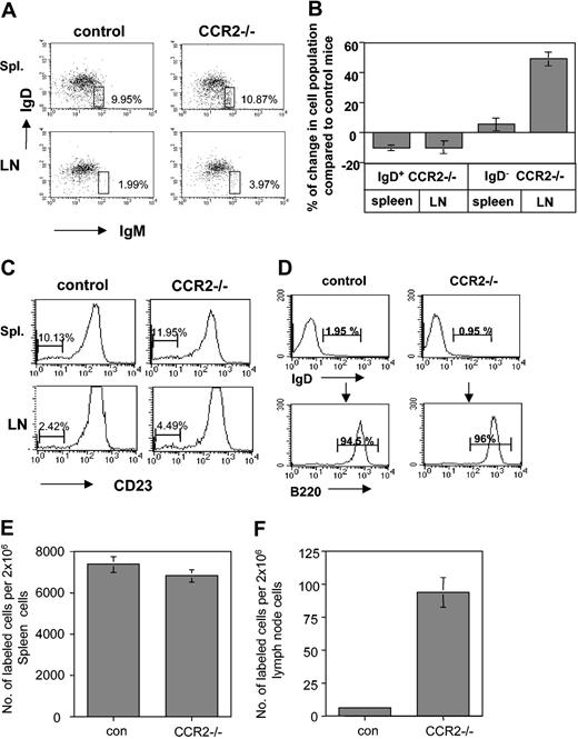Figure 7. CCR2 inhibits in vivo homing of immature B cells. (A-B) Splenocytes (spl) and lymph node (LN) cells from control and CCR2–/– mice were triple stained with anti-B220 and anti-IgD or anti-IgM. Dot plots show the expression of the markers on B220+ cells. Numbers represent percentages of immature population. (A). The graph represents the percentage change in the mature and immature B-cell population in CCR2–/– mice compared with the control immature and mature populations, which were regarded as 100% from 7 different experiments (B). (C) Splenocytes (spl) and lymph node (LN) cells from control and CCR2–/– mice were double stained with anti-B220 and anti-CD23. Histograms show CD23 expression on B220+ cells. Brackets and numbers show the percentage of CD23– population. (D) Purification of immature B cells. IgD– splenocytes from control and CCR2–/– mice were then separated by anti-B220 magnetic beads as described in “Materials and methods.” Brackets and numbers show the percentage of IgD+ and B220+ populations. (E-F) Homing of labeled immature B cells to the spleen (E) and LN (F). Labeled immature B cells derived from control and CCR2–/– mice were injected to control mice. After 3.5 hours, the spleen (E) and LN (F) were collected, and the FITC-positive population was analyzed by FACS. Error bars represent the standard error of the results of all the experiments used to calculate the average.
