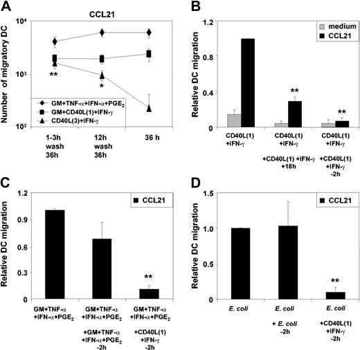 Figure 3. Persistence of different classes of stimuli modulates MoDC migration. MoDCs were activated with the indicated stimuli. Cells were washed twice 3 hours or 12 hours after stimulation, and cell cultures were continued in RPMI plus 10% FCS without cytokines for a further 36 to 48 hours. MoDCs containing the various stimuli throughout the 36-hour culture period were cultured in parallel as controls. (A) Migration toward CCL21 of transiently or continuously stimulated MoDCs (mean ± SEM of 9 experiments, *P < .05; **P < .01 comparing CD40L3 plus IFN-γ stimulation over 3 hours and 12 hours with 36-hour stimulation). (B) CD40L1 plus IFN-γ was added either once or repeatedly at 0, 6, and 18 hours (+18h) or at 0 hours and for a second time 2 hours prior to the migration assay (–2h) (mean ± SEM of 4 experiments, **P < .05 as compared with single stimulation). (C) GM-CSF plus TNF-α plus IFN-α plus PGE2 was added either once or for a second time 2 hours prior to the migration assay (–2h). Alternatively, CD40L1 plus IFN-γ was added 2 hours prior to the migration assay into cultures initially stimulated with GM plus TNF-α plus IFN-α plus PGE2 (mean ± SEM of 4 experiments, **P < .01 as compared with single stimulation). (D) Intact E coli was prepared as indicated in “Materials and methods,” and 20 μL of the E coli suspension was added to 1 mL of culture. Intact E coli was added either once or for a second time 2 hours prior to the migration assay (–2h). Alternatively, CD40L1 plus IFN-γ was added 2 hours prior to the migration assay into cultures initially stimulated with intact E coli (mean ± SEM of 4 experiments, **P < .01 as compared with single stimulation).