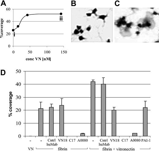 Figure 3. Fibrin-associated multimeric VN potentiates platelet adhesion and aggregation. Whole-blood perfusions were performed for 5 minutes at a shear rate of 500 s–1 on (A) fibrin in the absence or presence of increasing amounts of VN (0 to 143 nM). Platelet coverage shows a VN-dependent increase. A detail of single platelets adherent to fibrin (Ai; B) or fibrin plus VN (Aii; C)(143 nM) is shown (original magnification, × 1000). In a duplicate set of experiments, perfusions were performed on (D) immobilized VN or on clots composed of fibrin or fibrin with 143 nM VN in the absence or presence of control huMab, huMab VN18 directed against multimeric VN, Moab C17 against the βIIIa subunit of the VN-receptor, Poab A0080 against fibrin(ogen), and after preincubation of the fibrin/VN network with PAI-1 (100 μg/mL). Perfusion results are shown as mean coverage (%) ± SEM.