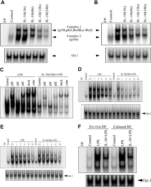 Figure 2. IL-10 pretreatment of DC inhibits the DNA-binding activity of nuclear NF-κB. DCs were pretreated with 50 ng/mL IL-10 for the indicated times or were left untreated for 24 hours and then were stimulated with (A) 500 ng/mL LPS or (B) 10 μg/mL anti-CD40 antibody for 30 minutes. Nuclear extracts were prepared, and DNA binding to the H2K-specific oligonucleotide probe was analyzed using EMSA. (C) Components of the different NF-κB complexes binding to the H2K probe were determined through supershift analysis. (D), For the kinetics study, DCs were pretreated with 50 ng/mL IL-10 or left untreated for 24 hours and then stimulated with 500 ng/mL LPS for the indicated times (in hours). DNA binding was analyzed using EMSA. (E) DCs were costimulated with IL-10 (50 ng/mL) and LPS (500 ng/mL) or treated with LPS alone for the indicated times (in hours). (F) Isolated (ex vivo) splenic or cultured bone marrow– derived DCs were pretreated with 50 ng/mL IL-10 or left untreated for 24 hours and then stimulated with 500 ng/mL LPS for 30 minutes. Nuclear extracts were prepared, and DNA binding to H2K-specific oligonucleotide probes was measured using EMSA. A double-stranded OCT1 DNA probe was used as an internal control. Data are representative of at least 3 independent experiments. FP indicates free probe.