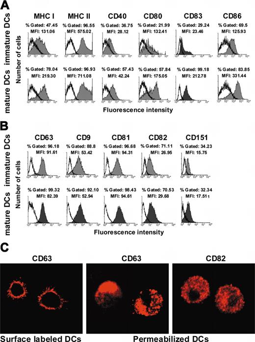 Figure 1. Tetraspanin expression at the cell surface of monocyte-derived immature DCs. (A) Expression of MHC class I, MHC class II, CD40, CD80, CD83, and CD86 on immature and mature DCs (shaded histograms). Isotype-matched control immunoglobulin labeling is shown in open histograms. (B) Expression of CD63, CD9, CD81, CD82, and CD151 on immature and mature DCs (shaded histograms). Isotype-matched control immunoglobulins labeling is shown in open histograms. Obtention and FACS analysis of human immature and mature DCs were performed as described in “Materials and methods.” A total of 10 000 events were analyzed in each case. The histograms shown are representative of at least 4 experiments. (C) Microphotographs illustrating the pattern of CD63 expression before cell permeabilization (left) and of CD63 (middle) and CD82 (right) expression after cell permeabilization, observed by confocal microscopy in immature DCs. Objective lenses: C-Apochromat 63 ×/1.2 numerical aperture (NA), water.
