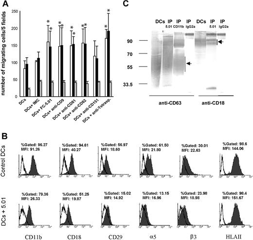 Figure 3. Effect of antitetraspanin Mabs on the migration of immature DCs: association between CD63 and integrins. (A) Immature DCs were prepared as described in “Materials and methods,” and their migration in the presence of 100 ng/mL MIP-1α (□), MIP-5 (▪), and RPMI-0.1% BSA alone (▦) was performed as described in “Materials and methods.” An average of 5 experiments is shown. Error bars show standard deviation. Statistically significant differences between DCs incubated with the corresponding Mabs and DCs incubated with isotype-matched control immunoglobulins (IMCs) are indicated (*P < .05, according to a 2-tailed Student t test). (B) Expression of CD29, CD11b, CD18, α5, β3, and MHC class II before and after CD63 internalization (shaded histograms). Isotype-matched control immunoglobulin labeling is shown in open histograms. The histograms shown are representative of at least 3 experiments. (C) Immunoprecipitation of CD63 and CD11b was performed as described in “Materials and methods.” The immunoprecipitates were analyzed by 10% SDS-PAGE under nonreducing conditions and revealed with anti-CD63 (broad band between 40 kDa and 70 kDa19) and anti-CD18 Mabs followed by GAM-PA and BCIP/NBT. Lanes 1 and 5: DC extract. Lanes 2 and 6: CD63 immunoprecipitates (IP 5.01). Lane 3: CD11b immunoprecipitate (IP CD11b). Lanes 4 and 7: control immunoprecipitations performed using isotype-matched control IgG2a (IP IgG2a).