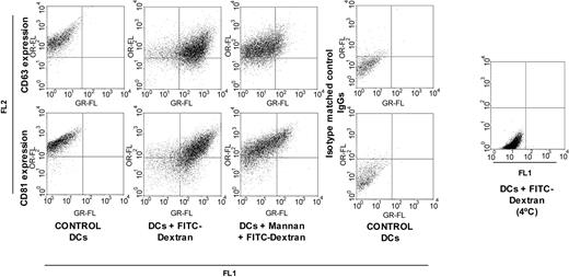 Figure 5. Internalization of cell surface CD63 does not accompany FITC-Dx endocytosis. Endocytosis of FITC-Dx (one mg/mL) and CD63 cell-surface expression were assessed as described in “Materials and methods.” Anti-CD63 FC-5.01 and anti-CD81 Mabs binding to control DCs (FL2: phycoerythrin fluorescence) is shown in the left panels. Binding of anti-CD63 Mab and of anti-CD81 Mab (FL2) to DCs incubated with FITC-Dx (FL1: FITC fluorescence) in the absence or presence of α-mannan is shown on center right and center left panels, respectively. Binding of isotype-matched control immunoglobulins are indicated in the upper and lower right panels. Control DCs were not incubated with FITC-Dx. Binding of FITC-Dx at 4°C is indicated in the right panel. In total, 10 000 events were analyzed. FITC-Dx endocytosis was confirmed by confocal microscopy (data not shown). The dot plots shown are representative of at least 5 experiments.