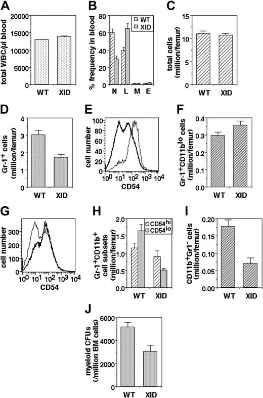Figure 4. Myeloid developmental abnormalities in XID mice. (A) Total white blood cell (WBC) numbers in the blood of WT and XID mice (mean ± SE). (B) Differential WBC frequencies (N: PMNs; L: lymphocytes; M: monocytes; E: eosinophils) in the blood of WT and XID mice (mean ± SE). (C) Total bone marrow cell yields per femur from WT and XID mice (mean ± SE). (D) Granulocytic lineage (Gr-1+) cell numbers in bone marrow from WT and XID mice (mean ± SE). (E) CD54 intensity in Gr-1+CD11blo (thin line) and Gr-1+CD11bhi (thick line) cells from WT bone marrow. (F) Early granulocytic lineage (Gr-1+CD11blo) cell numbers in bone marrow from WT and XID mice (mean ± SE). (G) CD54 intensity in Gr-1+CD11bhi cells from WT (thin line) and XID (thick line) WT bone marrow. (H) Late granulocytic lineage (Gr-1+CD11bhi) cell numbers in the CD54hi and CD54lo subpopulations from bone marrow of WT and XID mice (mean ± SE). (I) Monocytic lineage (CD11b+Gr-1-) cell numbers in bone marrow from WT and XID mice (mean ± SE). (J) Myeloid colony-forming cell numbers in bone marrow from WT and XID mice (mean ± SE).