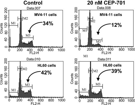 Figure 3. Cell cycle profile of cells treated with CEP-701. MV4-11 cells (upper panels) and HL60 cells (lower panels) were cultured in the absence (left panels) or presence (right panels) of 20 nM CEP-701 for 48 hours, then costained with annexin V and propidium iodide and analyzed by FACS. The graphs display propidium iodide (x-axis) staining of non-annexin V staining (ie, still viable) cells. The cells in G2/S phase are designated in each graph with an arrow.