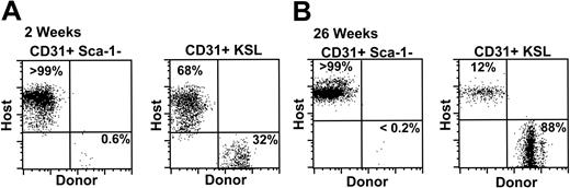 Figure 5. CD31+ Sca-1– cells do not give rise to significant numbers of peripheral blood leukocytes. (A) Peripheral blood was analyzed for donor-derived (CD45.2) hematopoietic reconstitution 2 weeks following transplantation of either 10 000 CD31+ Lin– c-kit+ Sca-1– cells (left panel) or 250 CD31+ KSL cells (right panel). (B) Peripheral blood analysis at 26 weeks after irradiation. The percentage of total donor cells in the peripheral blood of a recipient representative of 3 experiments is shown.