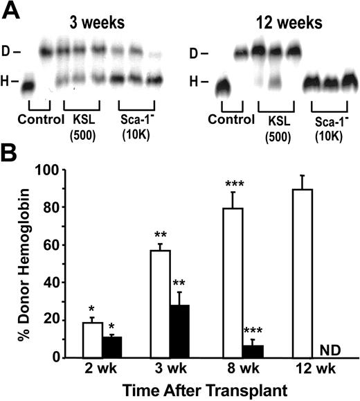 Figure 6. Transient production of donor hemoglobin following CD31+ Sca-1– cell transplantation. (A) Donor and host hemoglobin levels (lanes D and H) were evaluated by electrophoresis following transplantation of either 500 CD31+ KSL cells or 10 000 CD31+ Lin– c-kit+ Sca-1– cells (Sca-1– cells). (B) The percentage of donor versus host hemoglobin was determined in recipients of either 500 CD31+ KSL cells (□) or 10 000 CD31+ Lin– c-kit+ Sca-1– cells (▪) between 2 to 12 weeks after transplantation. Combined results from 3 experiments are shown. Error bars indicate SEM; *P ≤ .04, **P ≤ .005, ***P ≤ .0005; ND indicates not detected, level of detection ≥ 5%.