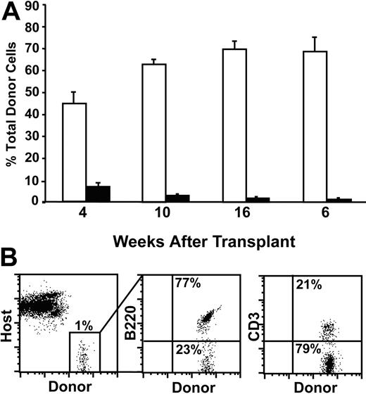 Figure 7. CD31+ Sca-1– progenitors do not give rise to multilineage hematopoiesis in a competitive repopulation assay. Lethally irradiated recipient mice received transplants of either 500 CD31+ KSL cells (□) or 25 000 CD31+ Lin– c-kit+ Sca-1– cells (▪) in addition to unfractionated host-type bone marrow carrier cells (1 × 105). (A) Peripheral blood analysis was performed at the time points indicated, and the level of total donor engraftment was determined. (B) At 26 weeks, donor-derived cells were either B220+ B cells or CD3+ T cells. A representative FACS plot gated on donor-derived cells is shown in middle and right panels. Error bars indicate SEM; n = 6 mice. Percentages of donor-derived cell populations are shown in each panel.