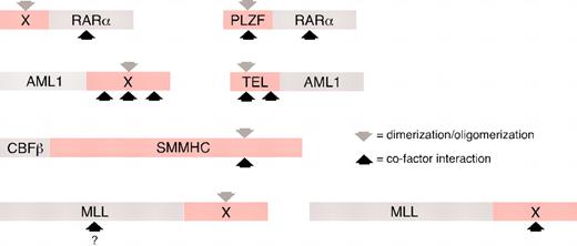 Figure 1. Correlation of transcriptional cofactor interaction domains and dimerization/oligomerization motifs in leukemia-associated fusion proteins. Chimeric oncoproteins are illustrated schematically with fusion partner moieties indicated in pink. X indicates that diverse proteins have been identified as fusion partners. Downward gray arrows indicate sites of dimerization/oligomerization. Upward black arrows indicate sites of transcriptional cofactor interaction. For dimerization-dependent MLL chimeras, the question mark indicates that the site of cofactor recruitment has not been determined.