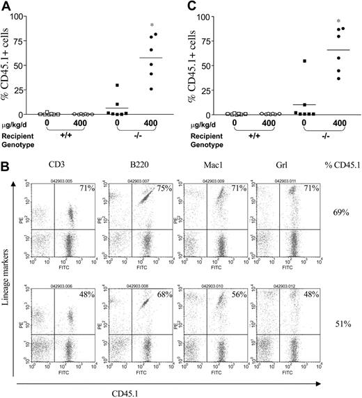 Figure 4. IFN-γ treatment of Fancc-/- recipients is sufficient to allow engraftment of syngeneic WT bone marrow cells. (A) CD45.1+ WT BM nucleated cells (107) were injected into the tail vein of WT and Fancc-/- C57Bl/6 recipients that express the CD45.2 antigen. Recipients were pretreated with IFN-γ or vehicle control. The percentage of CD45.1+ cells in the peripheral blood was determined by fluorescence cytometry 6 months following treatment. Data points represent CD45.1+ chimerism of individual mice. Bars represent the mean CD45.1+ chimerism. *P < .001 comparing chimerism of Fancc-/- recipients treated with IFN-γ-versus vehicle-treated Fancc-/- recipients and WT recipients. (B) Myeloid and lymphoid differentiation of isogenic WT cells in Fancc-/- mice was determined using fluorescence cytometry 6 months subsequent to IFN-γ treatment. Multilineage analyses of 2 representative mice with 69% and 51% CD45.1+ chimerism are shown. The percentage of WT CD45.1+ lymphoid (CD3 and B220) and myeloid (Gr1 and Mac1) cells is shown in the top right corner of each fluorescence-activated cell sorter (FACS) profile. (C) To evaluate long-term repopulating ability of syngeneic WT BM cells from primary recipients pretreated with IFN-γ, secondary recipients were reconstituted using bone marrow cells from primary recipients 6 months following IFN-γ treatment. CD45.1+ chimerism of secondary recipients was measured 4 months following transplantation. Bars represent the mean CD45.1+ chimerism. *P < .001 comparing chimerism of Fancc-/- recipients treated with IFN-γ-versus vehicle-treated Fancc-/- recipients and WT recipients.