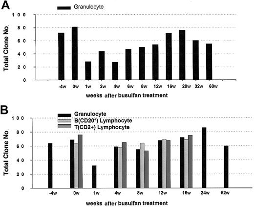 Figure 4. Summary of clone numbers identified by LAM-PCR and GeneScan analysis before and after busulfan. (A) Animal RQ2314. (B) Animal RQ2297. Criteria for scoring clones as present are given in “Materials and methods.” A total of 18 replicate LAM-PCR reactions using 100 ng template was performed for each sample, and the total number of individual clones meeting criteria was enumerated and graphed.