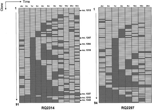 Figure 6. Summary of individual clones contributing to granulocytes before and following busulfan. Each individual clone detected is shown on the y-axis. White boxes represent the presence of the clone at a time point, and gray boxes represent the lack of detection of a clone at a time point. The presence or absence of individual clones was confirmed using tracking primers as shown in Figure 7. These clones are identified by arrows to the right of the charts.