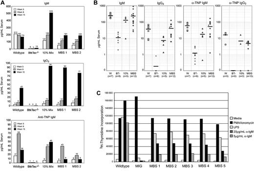 Figure 5. Rescue of serum Ig levels, TI-II responses, and BCR-dependent proliferative responses in MBS-treated BtkTec–/– mice. Engrafted recipients were immunized with TNP-Ficoll, bled, and analyzed for serum IgM, IgG3, and anti-TNP–specific IgM levels. (A) Kinetic data from individual animals in a representative experiment shows restoration of antibody production and TI-II levels by about 15 weeks after transplantation with MBS-transduced bone marrow cells. (B) IgM, IgG3, and anti-TNP IgM results from all experiments, analyzed between weeks 7 and 14 after transplantation, show significant improvement in MBS-treated animals versus BtkTec–/– controls. *Statistical significance, P < .01 for IgM, IgG3, and anti-TNP IgM. Anti-TNP IgG3 levels from weeks 13 to 21 are also shown (P < .0001). Mean serum antibody levels are indicated by a horizontal bar. Open versus closed circles denote results for mock-versus MIG-transduced BtkTec–/– animals, respectively. (C) Total splenocytes were harvested after transplantation, red blood cells lysed, and cultured with media alone (negative control), phorbol ester and ionomycin (positive control), LPS, or 2 doses of anti-IgM F(ab)2 antibody. Proliferative responses were measured by 3H-thymidine uptake. Results from a representative experiment (experiment 4) demonstrate restoration of LPS and anti-IgM responses in MBS-treated animals (P < .001 for MBS-versus MIG-treated animals for all stimuli). Analysis of data from experiments 1 to 3 also demonstrated statistically significant differences between MBS-treated mice (n = 7) and BtkTec–/– control mice (n = 5; P < .01 for 20 μg and P < .05 for 5 μg anti-IgM stimulation).