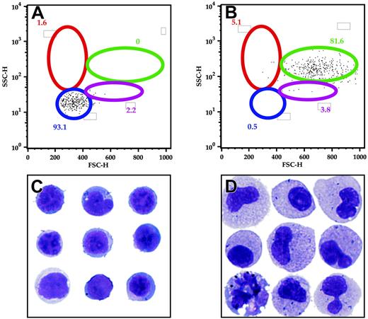 Figure 6. FACS analysis and morphology of hematopoietic cells from the TG(zpu.1: EGFP)df5 adult kidney. GFP-sorted cells were further separated into lymphoid (A) and myeloid (B) compartments, and morphology for the lymphoid-sorted (C) and myeloid-sorted (D) cells was evaluated by cytospin. Gated populations are as described.25 Populations of cells within each gate are described as mean percentages of total cells. Original magnification × 1000 (C-D).