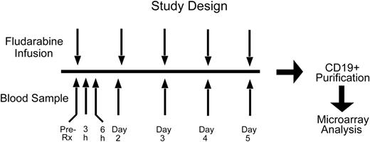 Figure 1. Design of the study. Gene expression profiles of leukemic cells from patients with CLL were studied at 7 time points immediately before and after initiation of the first cycle of fludarabine treatment.