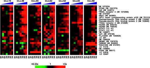 Figure 3. DNA microarray analysis identifies a homogeneous p53-dependent gene expression response of CLL cells to treatment with fludarabine in vivo. Changes in gene expression are depicted for each gene relative to its pretreatment level (black squares). Shades of red and green indicate up- or down-regulation of a given gene according to the color scheme shown below. Sequence-verified Lymphochip clones are labeled with an asterisk (*). For unnamed genes IMAGE clone numbers (IM) are given. Unnamed genes without sequence verification are labeled with a Lymphochip (LC) number.