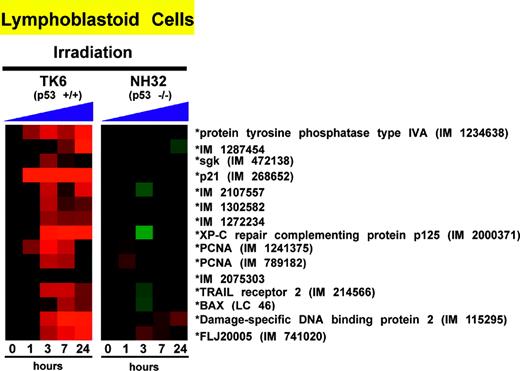 Figure 5. Genes that are induced in CLL cells after fludarabine treatment or irradiation are dependent on p53. Two isogenic cell lines that differ in their p53 loci only (TK6 with p53 wild-type alleles and NH32 with 2 null p53 alleles) were irradiated, and gene expression changes for selected genes are depicted relative to their pretreatment levels (black squares) according to the color scheme shown in Figure 4.