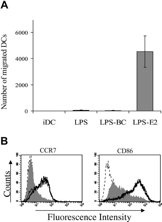 Figure 6. The addition of E2 is essential for migration of mature DCs toward the lymph node-derived chemokine CCL19/MIP3β. iDCs were stimulated for 24 hours with 1μg/mL LPS in the absence or presence of 20 μg/mL BC or 20 μg/mL E2. Unstimulated and stimulated DCs were tested for their chemotactic response to CCL19/MIP3β. Migration was measured using a transwell system. Values are given as the mean number of migrated cells ± SEM and are from 1 representative experiment of 3 performed with different donors. The mean number of spontaneously migrated cells was subtracted from the total number of cells that migrated in response to the chemokine (A). Unstimulated iDCs (filled gray histogram) and iDCs stimulated with LPS alone (bold line) or in combination with E2 (thin line) were analyzed for CCR7 and CD86 surface expression by flow cytometry. The dashed line represents the staining with an isotype control antibody. Data are from 1 of 3 experiments with different donors that gave similar results (B).