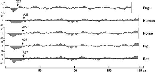 Figure 2. The hydrophilicity plots for Epos from Fugu, human, horse, pig, and rat generated using Kyte & Doolittle hydrophilicity parameters. The location of the N-terminal amino acid residue of the signal peptide is shown. aa indicates amino acid.