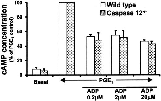 Figure 4. cAMP concentrations in ADP-stimulated platelets. Washed wild-type (white bars) and caspase-12–/– (dotted bars) platelets were incubated with PGE1 followed by ADP stimulation at the indicated concentrations. The y-axis shows the cAMP concentration, with PGE1-stimulated levels given a value of 100%. Data presented are the means ± SEM from 3 independent experiments. Platelet cAMP levels prior to PGE1 stimulation (basal) are less than 10% of that seen following PGE1 stimulation.
