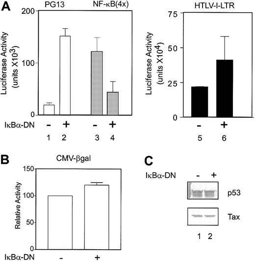 Figure 1. IκBα-DN mutant restores p53 transcriptional activity in C81 cells. (A) The HTLV-I–transformed cell line C81 was cotransfected (Transfast; Promega) with 2 μg reporter (lanes 1-2, PG13-Luc; lanes 3-4, 4 × NF-κB–Luc; lanes 5-6, HTLV-I–LTR-Luc) and either control (lanes 1, 3, and 5) or 2 μg IκBα-DN (lanes 2, 4, and 6) DNA. Cells were harvested 24 hours after transfection, and luciferase activity was measured. Luciferase values were adjusted for transfection efficiency by using RSV-βgalactosidase. The values represent luciferase activity from 3 independent experiments. Error bars indicate SD. (B) Transfections were performed as for panel A, but the reporter construct CMV-βgalactosidase was used (CMV-βgal). Error bars indicate SD. (C) Western blot analysis for p53 and Tax levels from transfected cells using Ab6 (Oncogene Research Product) and Tab172, respectively, were performed.