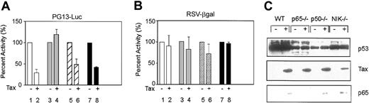 Figure 3. p53 Activity in MEF cells. (A) Mouse embryo fibroblasts (WT, □; p65–/–, ▦ ; p50–/–, ▨ ; and NIK–/–, ▪) were transfected with use of Effectene reagent (Qiagen) to measure p53 activity on the reporter construct PG13-Luc (1.5 μg) in the absence (–; lanes 1, 3, 5, and 7) or presence (+; lanes 2, 4, 6, and 8) of Tax (0.3 μg). The RSV-βgalactosidase (RSV-βgal, 0.2 μg) construct was included to control for transfection efficiency. The amount of p53 activity in the absence of Tax was set at 100%. The relative amounts represent averages of at least 2 independent experiments. Error bars indicate SD. (B) Transfections were performed as described in panel A. Values for the RSV-βgal are given as percentage of activity. Error bars indicate SD. (C) Western blot analyses of nuclear extracts indicate the expression level of endogenous p53 (top panel, Ab7; Oncogene Research Product), transfected Tax (middle panel, Tab172), or p65 (lower panel; Santa Cruz Biotechnology) as visualized by chemiluminescence.