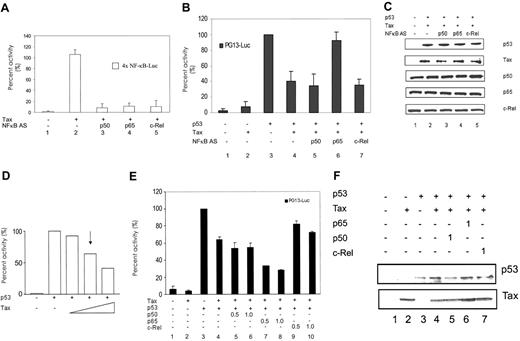 Figure 4. Antisense oligonucleotides to p65, but not p50 or c-Rel, abrogate Tax inhibition of p53. Jurkat lymphocytes were transfected with use of Superfect reagent with 4 × NF-κB–Luc (A) or PG13-Luc (B) and Tax (+; 2 μg) and p53 (+; 0.4 μg) in the presence or absence of the indicated antisense oligonucleotide (AS; 100 nM). Cells were harvested 24 hours after transfection, and activity was measured. Results represent an average of at least 3 independent experiments. Error bars indicate SD. (C) The expression levels of p53, Tax, p50, p65, and c-Rel are shown. (D) A titration of Tax plasmid was performed in Jurkat cells. Cells were transiently transfected with PG13-Luc reporter plasmid in the absence or presence of p53 plasmid. Increasing amounts of Tax plasmid (0.5, 1.0, 2.0 μg) were cotransfected, and the luciferase activity was measured. The arrow indicates the concentration of Tax plasmid used in other Jurkat transfections. (E) Jurkat cells were transiently cotransfected with PG13-Luc reporter construct, p53 (+), and Tax (+) in the absence (–) or presence of increasing amounts of p50, p65, or c-Rel (0.5 μgor1.0 μg). Cells were harvested 24 hours after transfection, and luciferase activity was measured. Activity is indicated as percentage of p53 activity and represents results from at least 3 independent experiments. Error bars indicate SD. (F) Western blot analysis indicates the protein expression levels for Tax (Tab172) and p53 (DO-1).