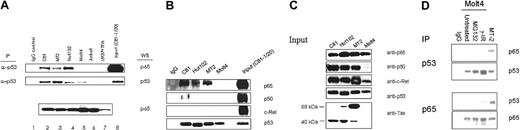 Figure 5. p53 And p65 interact in HTLV-I–transformed cells. (A) Nuclear extracts were prepared from a number of lymphocytic cell lines as indicated and p53 immunocomplexes were isolated. Western blot analysis was then performed to assess the level of associated p65 protein (top panel). IgG antibody was used as a control for specificity. The middle panel indicates the amount of p53 immunoprecipitated. The lower panel indicates the amount of p65 in each extract. (B) Nuclear extracts from HTLV-I–infected cells C81, Hut102, and MT2 as well as the control cell line Molt4 were immunopreciptiated with anti-p53 sera and washed extensively, and proteins were separated on 10% Tris-glycine gels. Western blot analyses for p65, p50, c-Rel, and p53 were performed. (C) Western blot analysis of nuclear extracts (25 μg) from cells used in panel B indicates the level of expression of p65, p50, c-Rel, p53, and Tax. (D) Nuclear extracts from Molt4 cells 4 hours after treatment with 8 Gy γ-irradiation, MG132 (50 μM), or untreated or from MT2 cells were prepared, and immunocomplexes were isolated with control IgG or p53 (Ab6) antibodies and separated on 10% Tris-glycine gels (Invitrogen). Proteins were transferred to PVDF membranes, and p65 levels were visualized (top panel) with anti-p65(A) (Santa Cruz Biotechnology). The lower panel indicates the amount of p53 immunoprecipitated (Ab7; Oncogene Research Product).