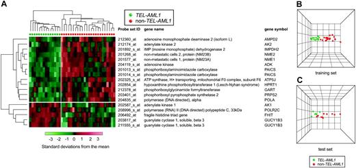Figure 2. “Supervised” hierarchical clustering and principal components analysis (PCA) using purine pathway genes discriminating TEL-AML1 and non–TEL-AML1 B-lineage ALL. (A) Each patient's ALL cells are depicted as vertical columns, with green symbols indicating ALL with TEL-AML1 fusion (n = 14) and red indicating non–TEL-AML1 (n = 24) ALL. Eighteen gene probe sets (rows, with gene names shown) were used for the hierarchical clustering. The relative level of gene expression is depicted from lowest (green) to highest (red) according to the scale shown at the bottom. (B) PCA plot using the 18 selected purine pathway gene probe sets (U133A array) discriminating TEL-AML1 versus non–TEL-AML1 in the training set. (C) PCA plot using purine pathway gene probe sets on the U95Av2 array that correspond to the probe sets discriminating TEL-AML1 versus non–TEL-AML1 identified in the training set.